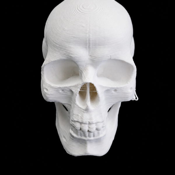 3D dekorace do terária – Lidská lebka (bílá)