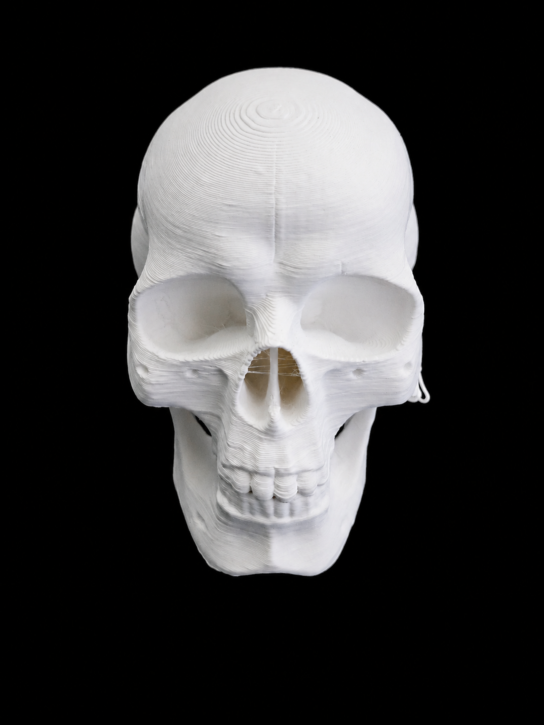 3D dekorace do terária – Lidská lebka (bílá)
