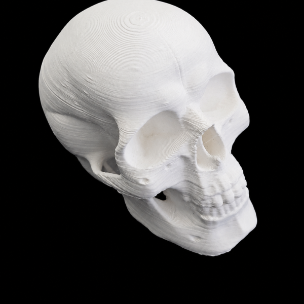 3D dekorace do terária – Lidská lebka (bílá)