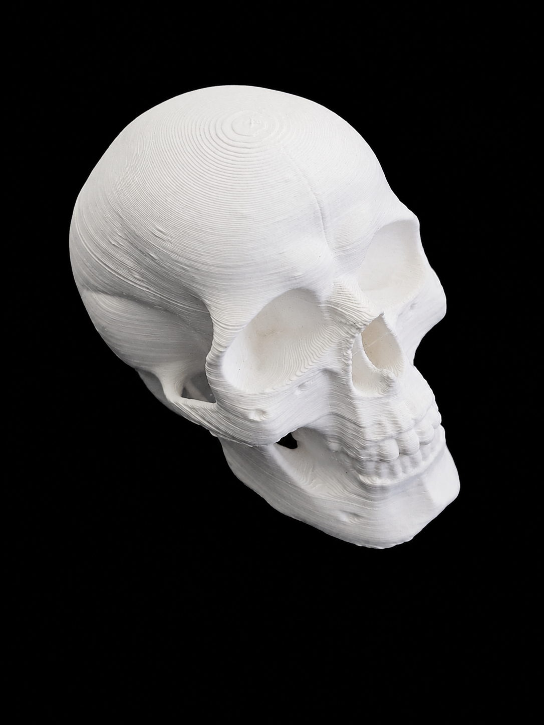 3D dekorace do terária – Lidská lebka (bílá)
