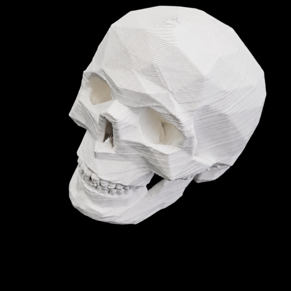 3D dekorace do terária – Geometrická lidská lebka (bílá)